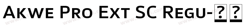 Akwe Pro Ext SC Regu字体转换